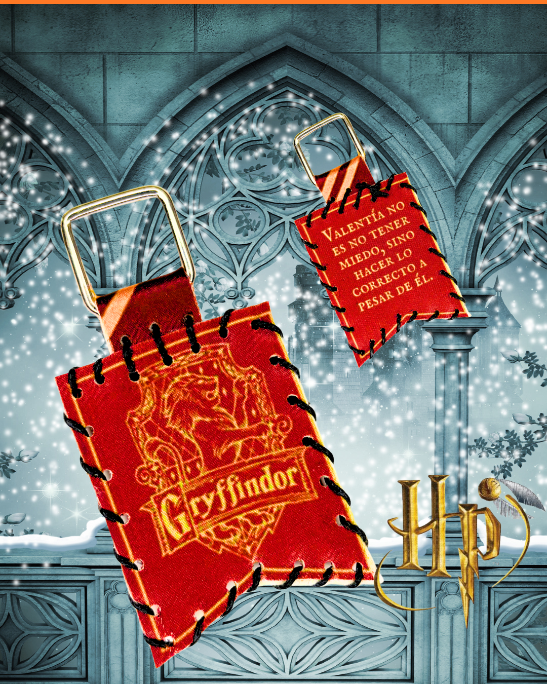 Llavero banderín 🦁